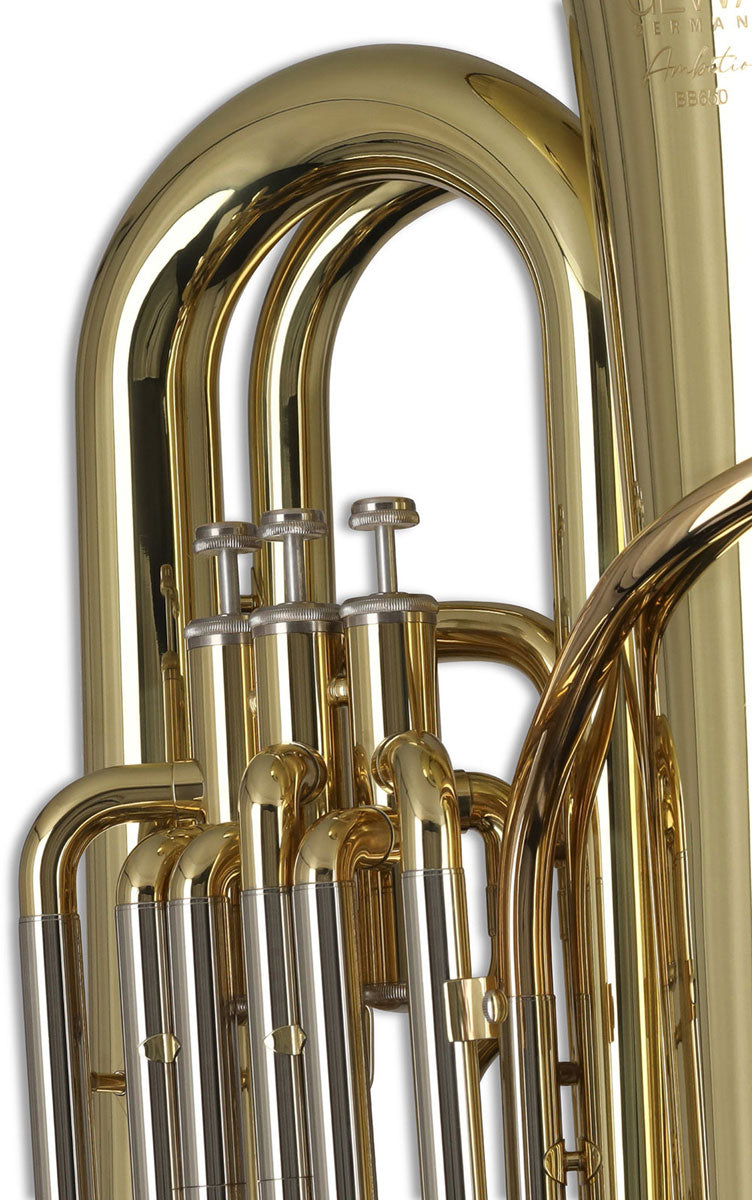Ambition BB650 Contrabbasso Sib Verniciato
