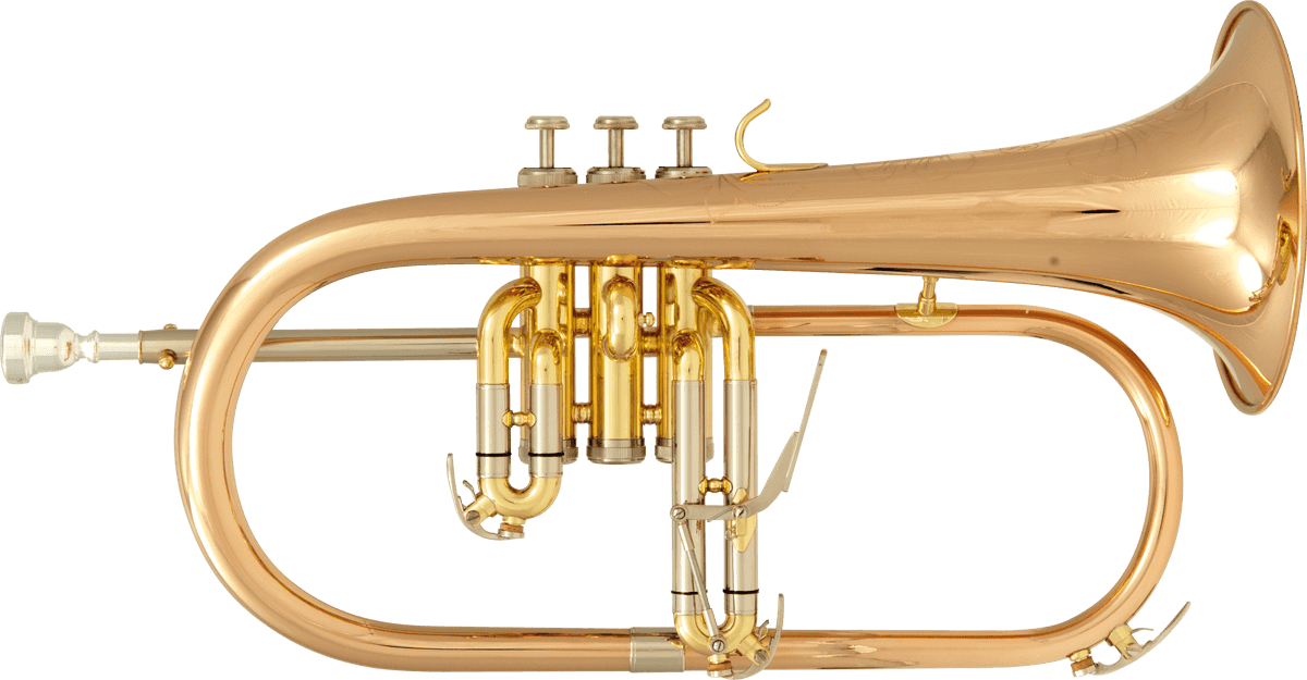 BU600 BB VERNICIATO
