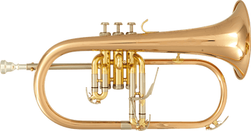 BU600 BB VERNICIATO