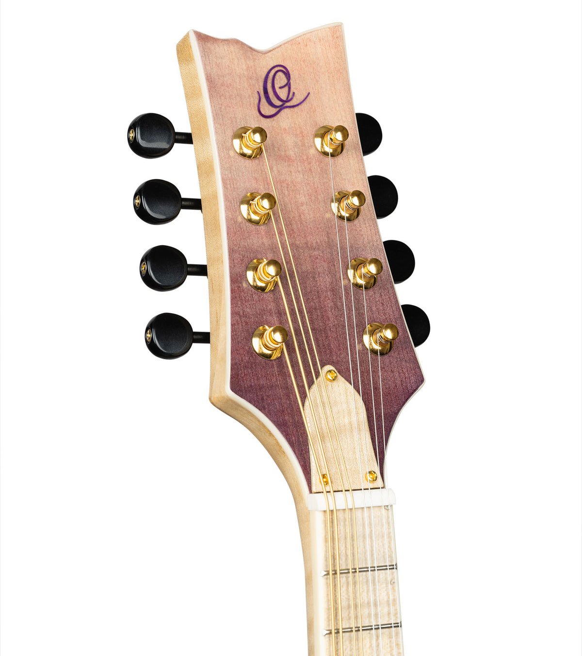 Americana Mandolino F-Style + Custodia in pelle Croco