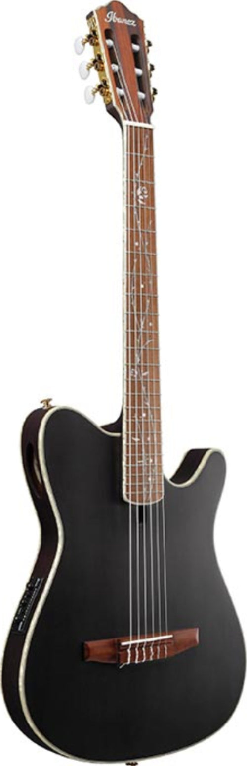 Chitarre acustiche Ibanez