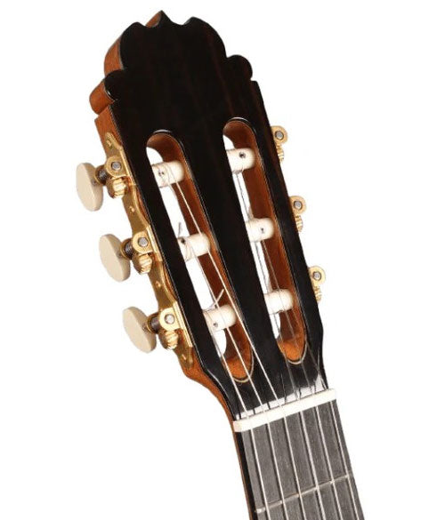 Professional Luthier Moncabrer Nitro + 9650 Bam Iconic Case