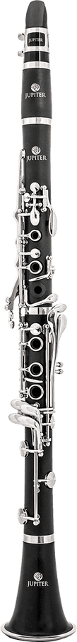 Clarinetto Sib per studenti ABS