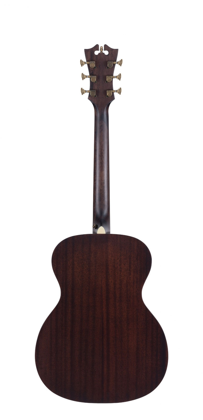 Premier Tammany Naturale