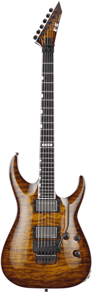 2Hori2Fr-Tesb Sunburst