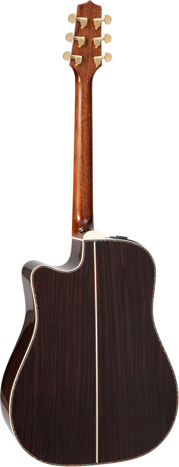 Dreadnought Cutaway Elettro P10DC
