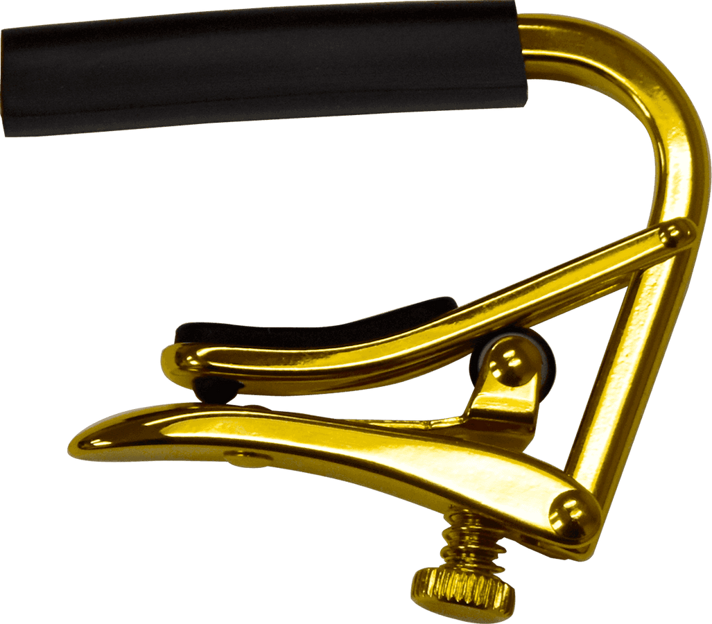 Oro acustica/elettrica