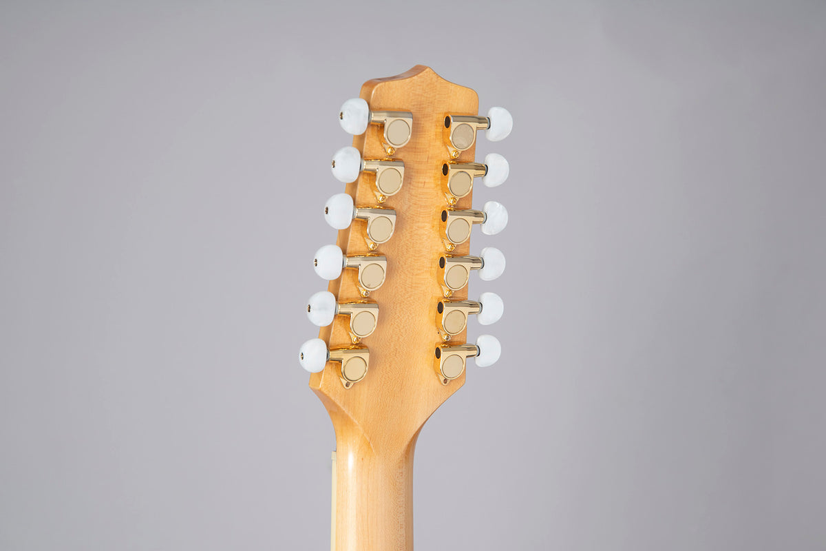 GD74CE-12 Dreadnought Corde Naturale