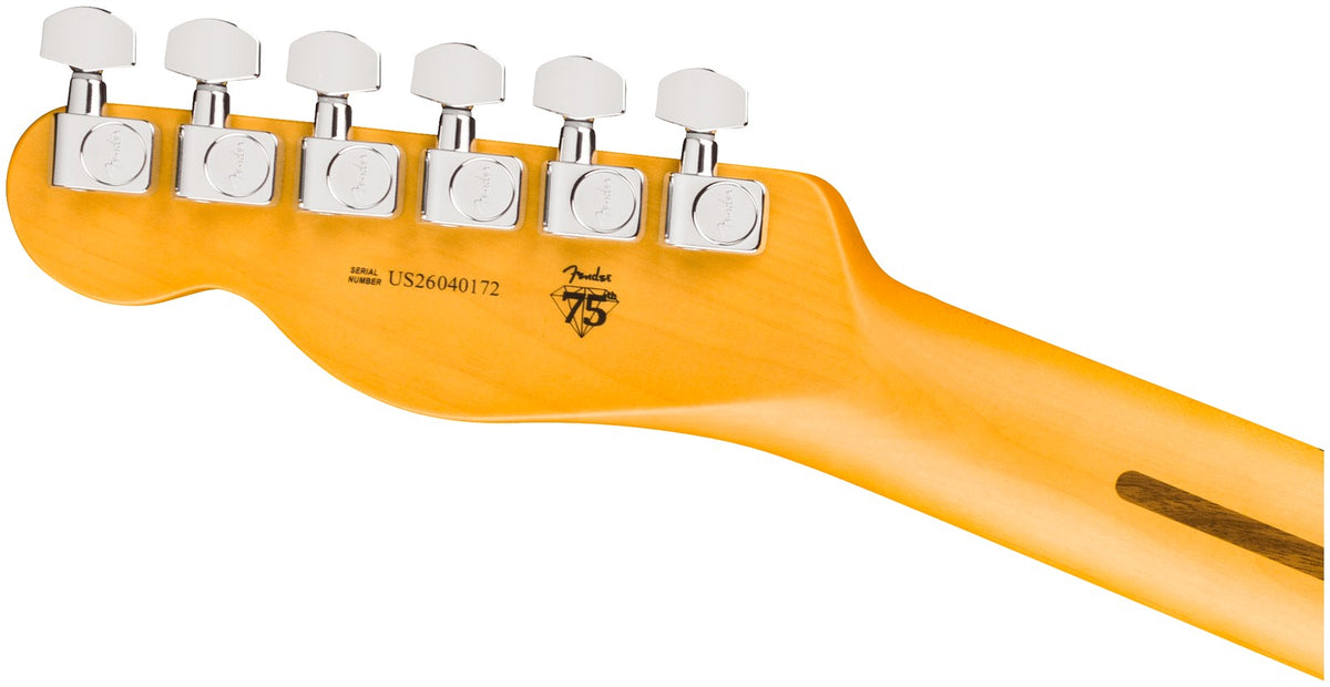 Telecaster American Professional, MN Naturale
