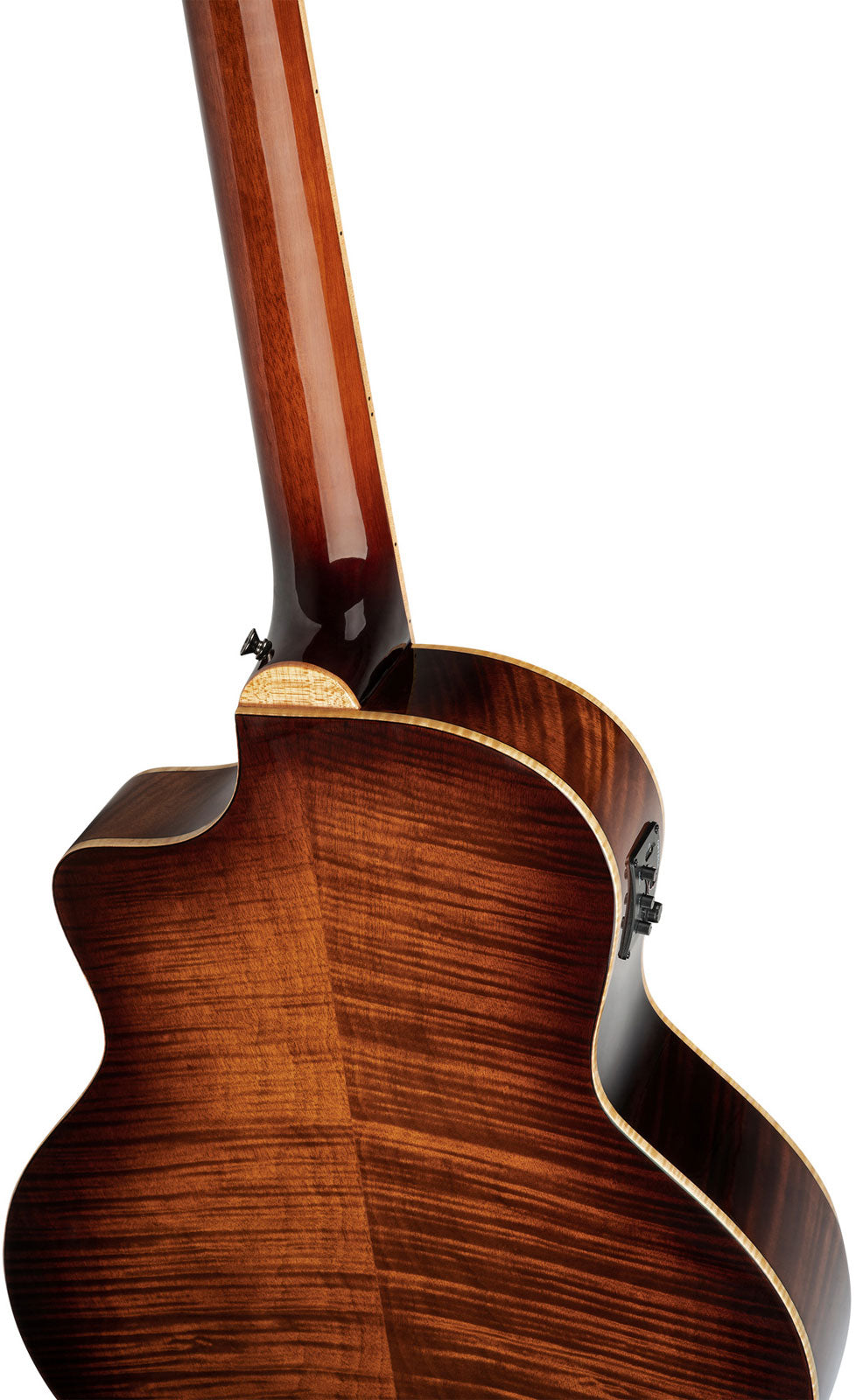 Basse Signature 5 String CW EQ