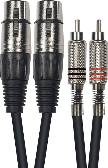 K10