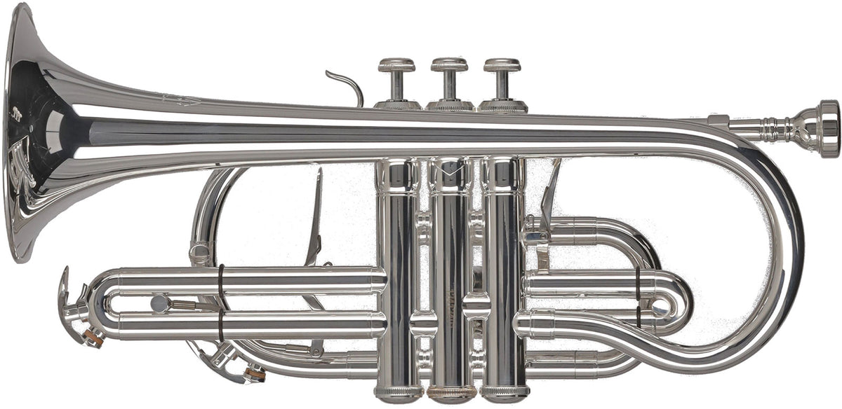 Ambition CR651S Sib Argentato
