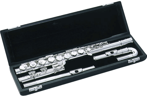 CUSTODIA TFCAU - FLAUTO CONTRALTO + 2 TESTE