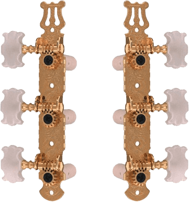 6 Meccaniche per Chitarra Classica Dorate