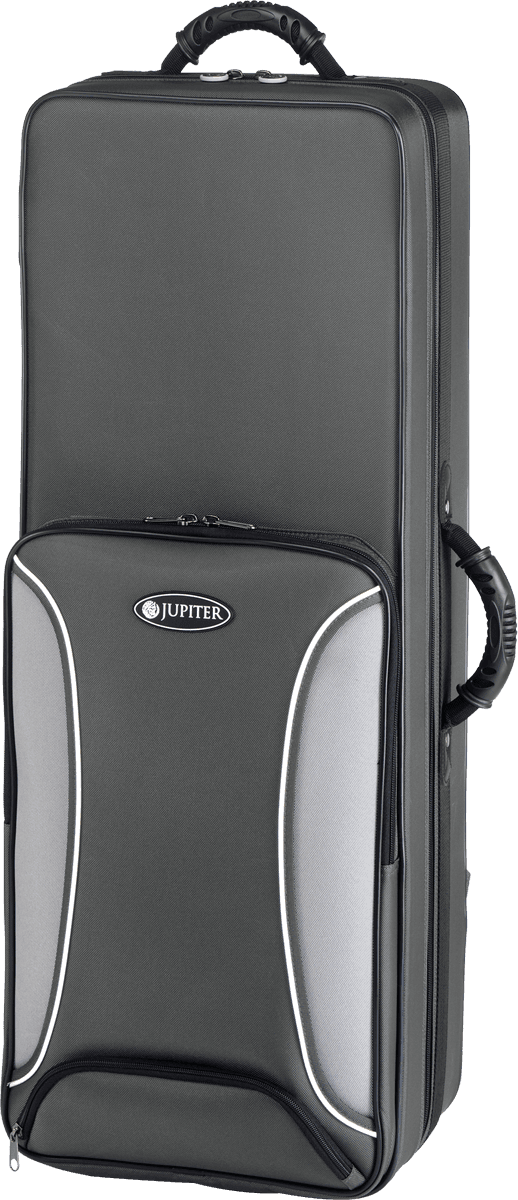 JTS500Q - Tenore Verniciato - Studio