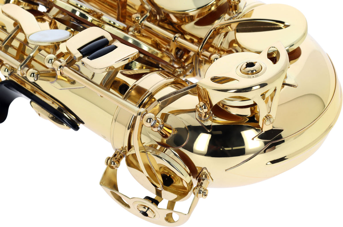 WSA100 - Contralto Mib verniciato
