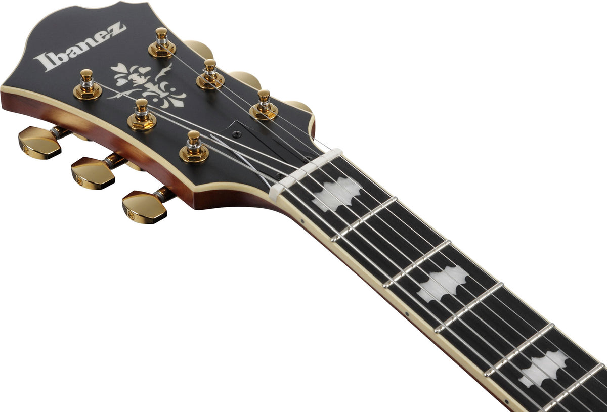 PM3C Signature Pat Metheny Ambra Naturale Poco Lucido