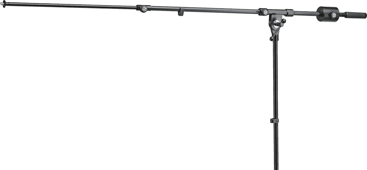 25530 Asta microfonica