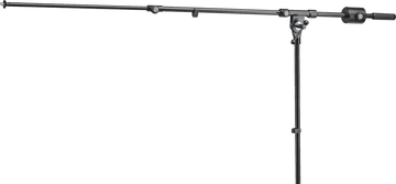 25530 Asta microfonica