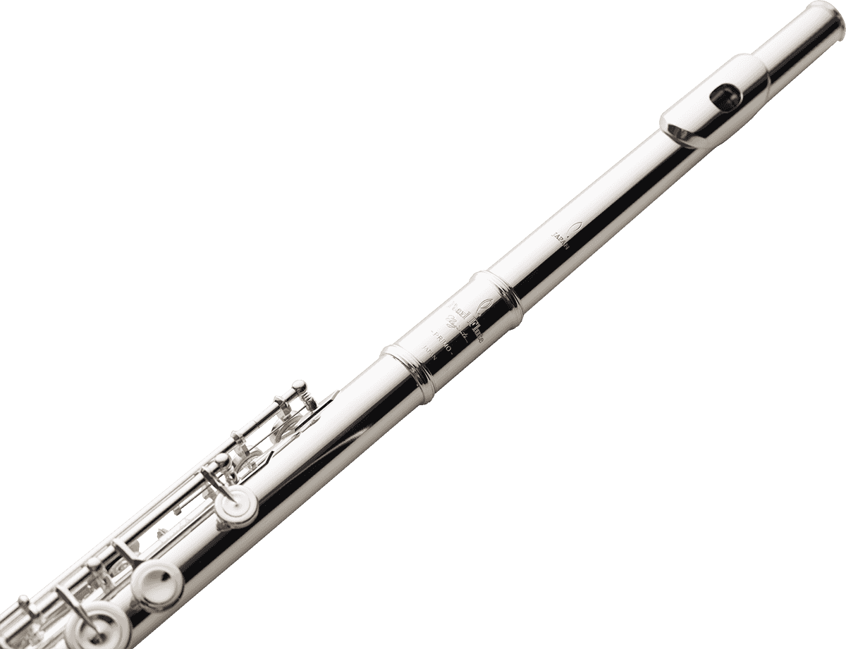 EP925R Elegante Primo - Testata Vivace + Piede di Do (Meccanica a fori aperti e in linea)