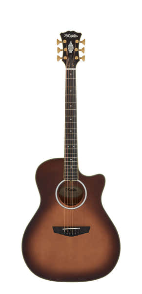 D'Angelico Gramercy Auntumn Burst