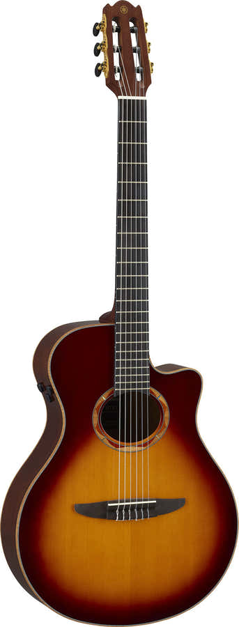 Ntx3 Brown Sunburst