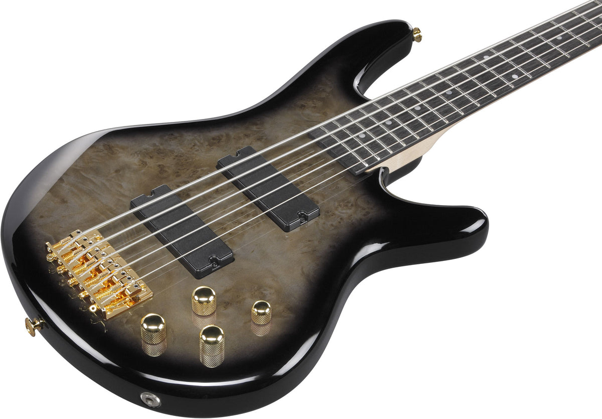 GSR205PCTPB Sfumato nero pallido trasparente