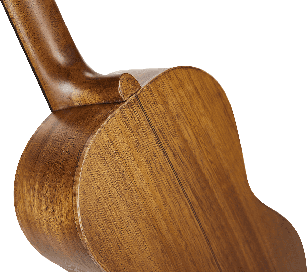 Baritono Naturale Elettrico + Custodia