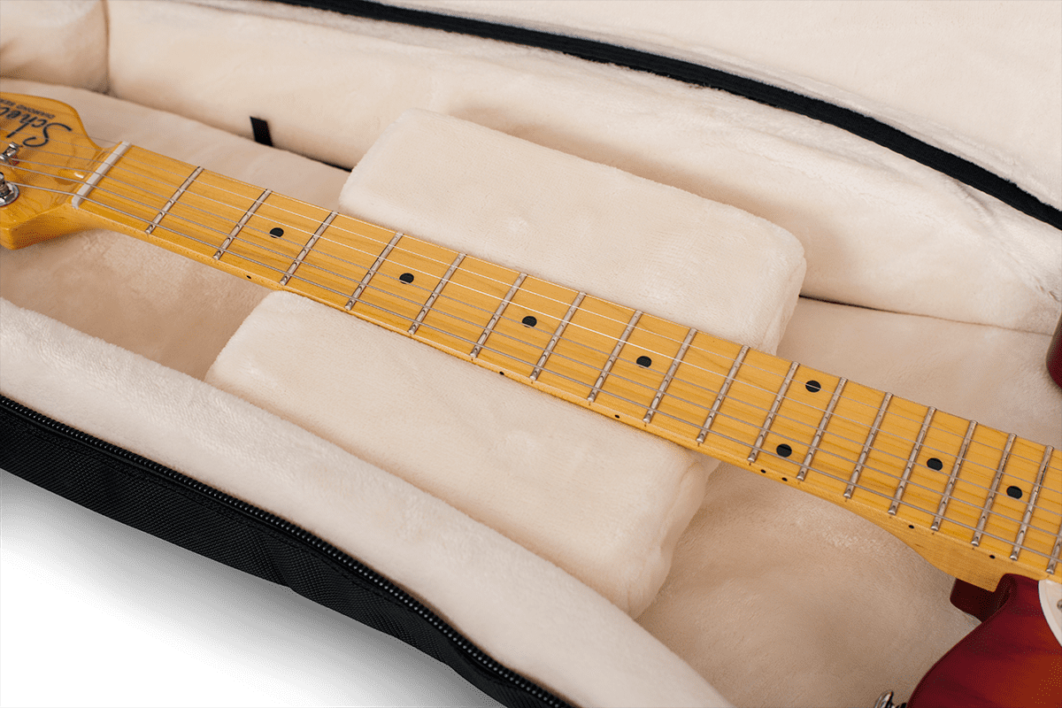 Custodia Elettrica - ProGo