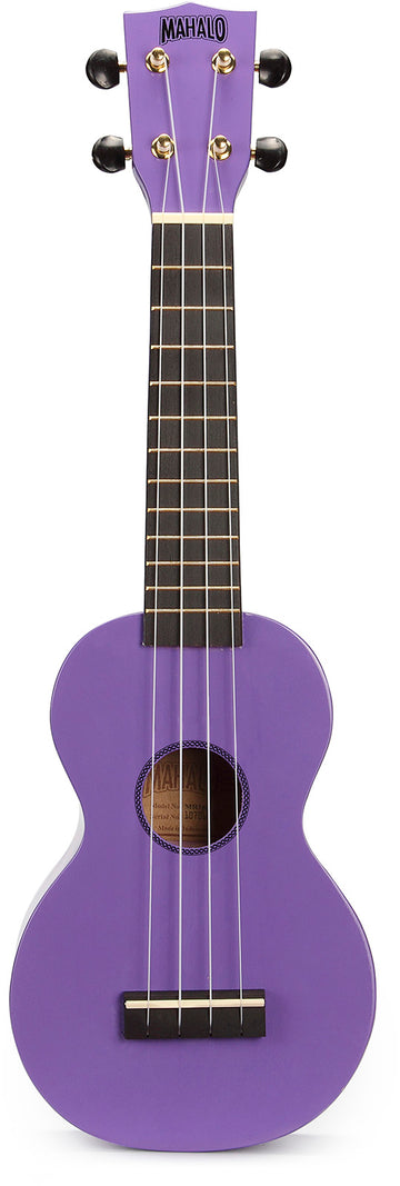 Rainbow Mr1 Purple