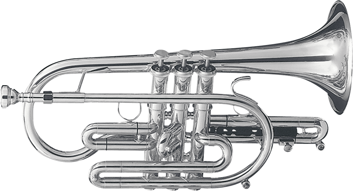 Eterna 800S Ottone Argentato