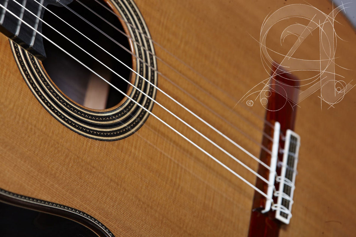 Professional Luthier Linea Profesional + 9650 Bam Iconic Case