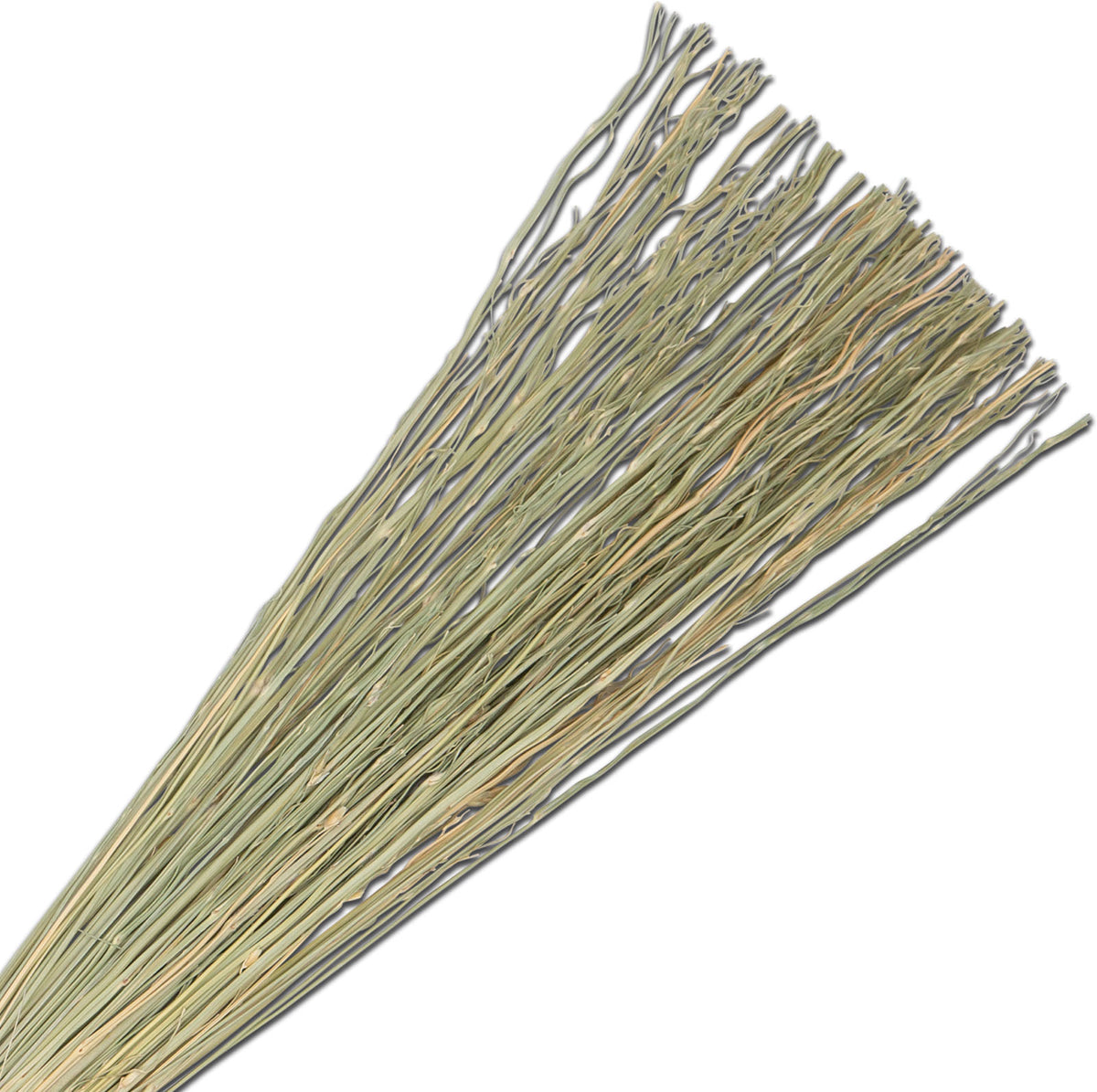 RM1 Re.mix Brushes Broomcorn