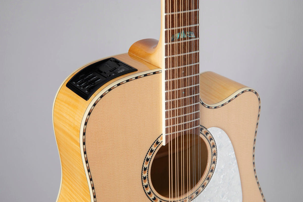 GD74CE-12 Dreadnought Corde Naturale