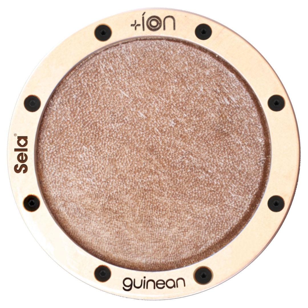 Ion for Iconic Cajon - Guineano