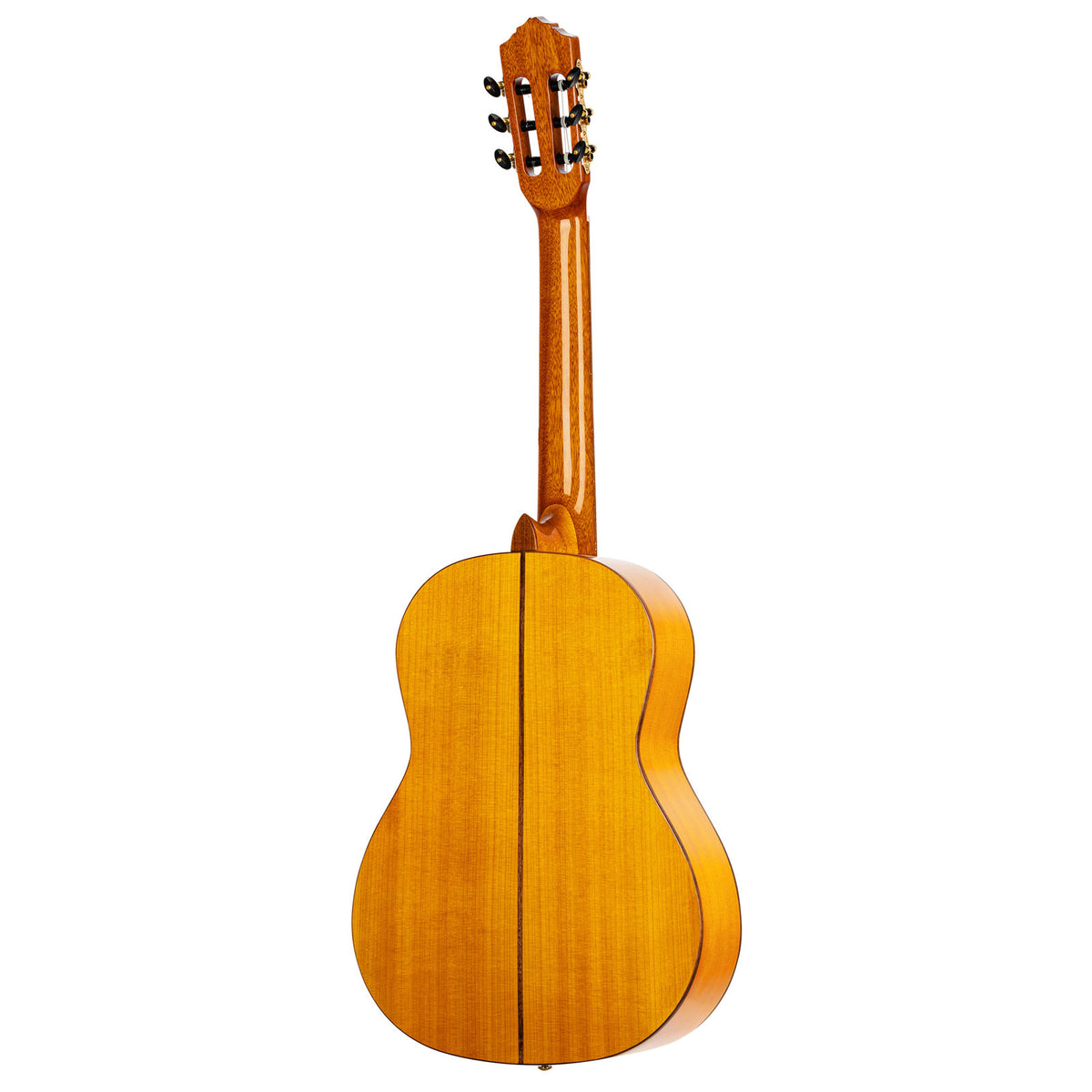 Chitarra Flamenco R170F