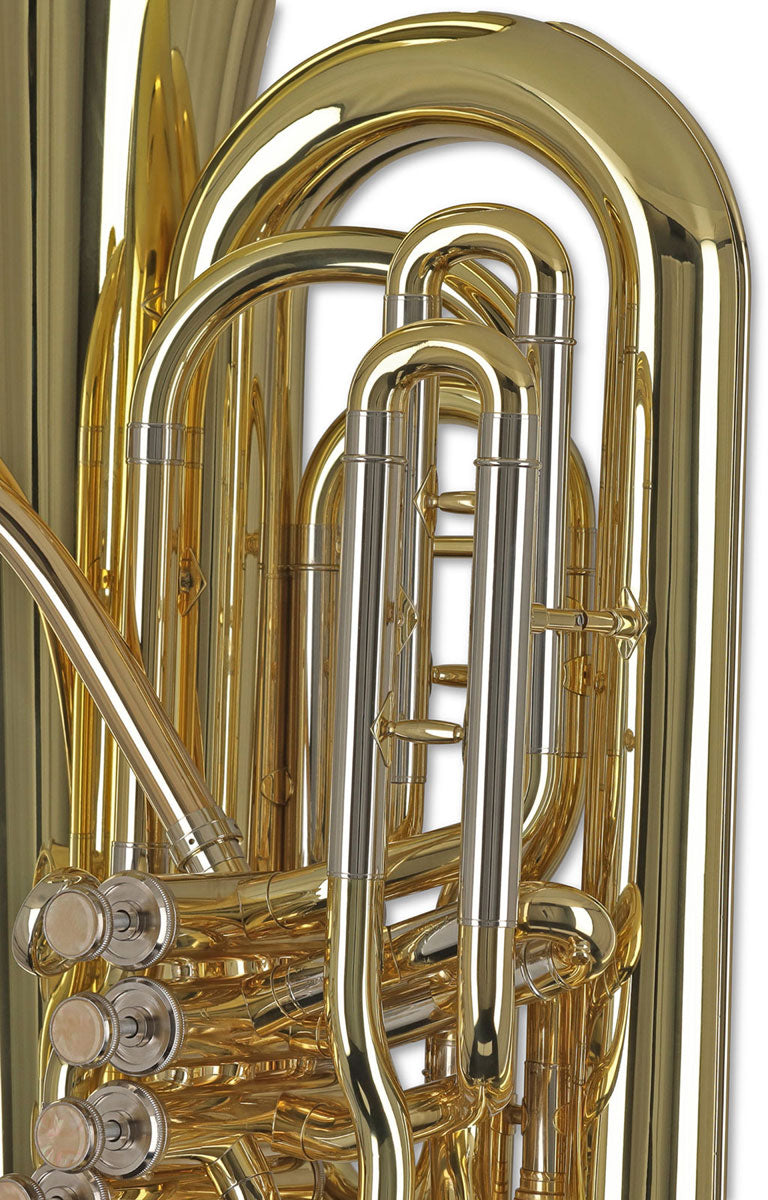 Ambition BB501C Contrabbasso Do Verniciato
