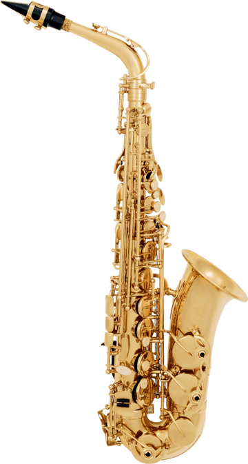 Sax Alto Principiante Verniciato A300