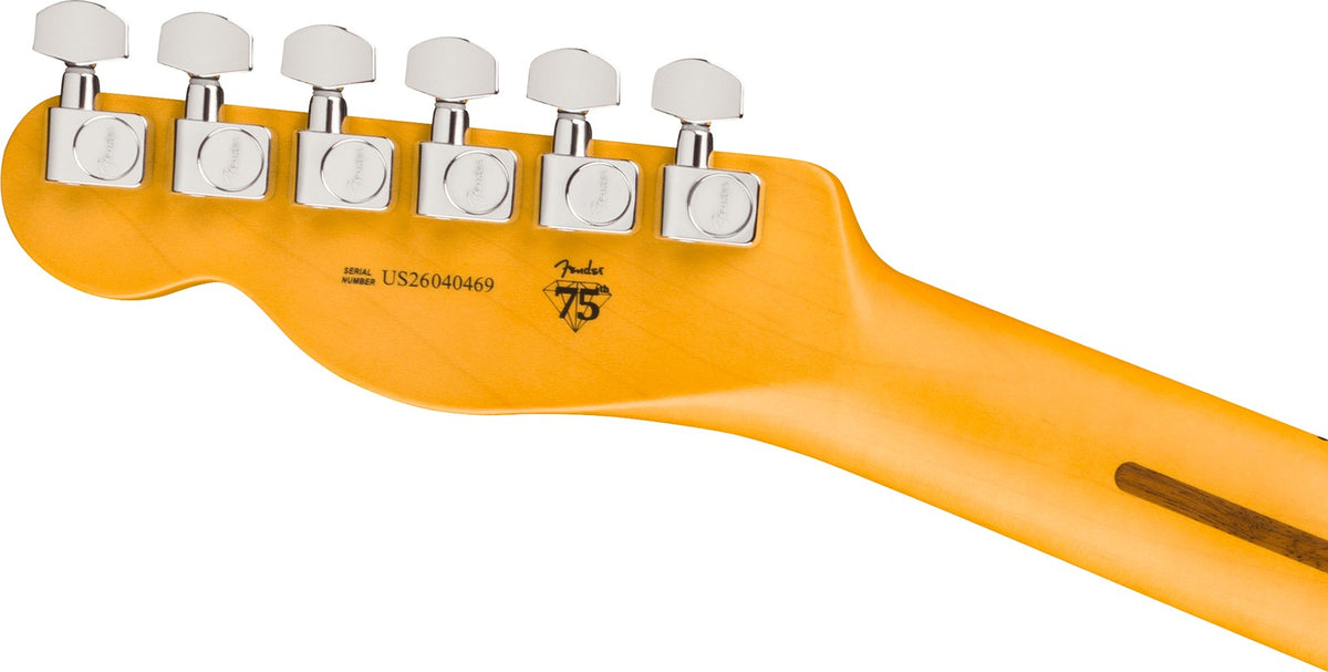 Telecaster American Professional, MN Sfumato ciliegia invecchiato