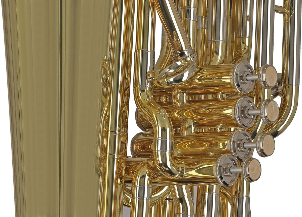 Ambition BB501B Contrabbasso Sib Verniciato