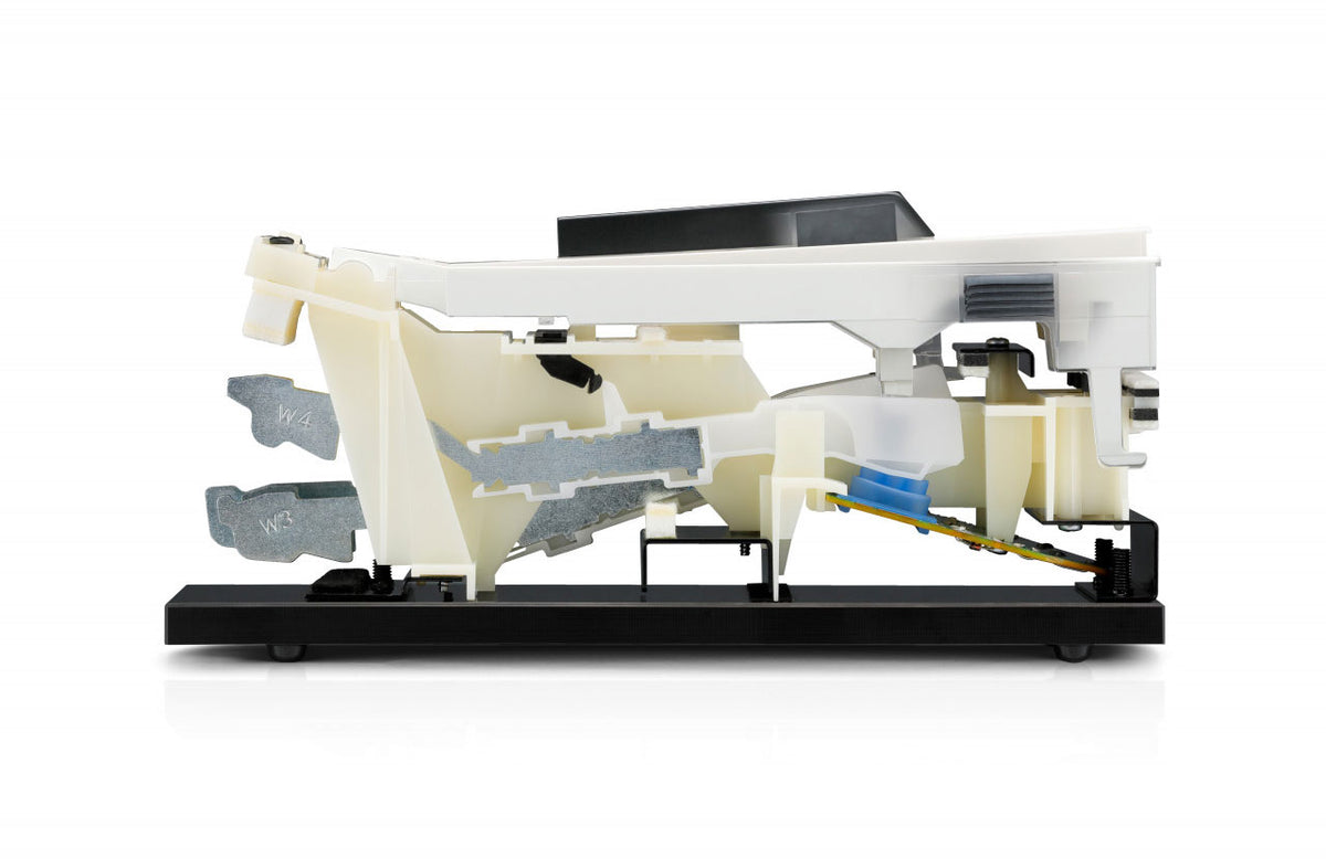 CN301 Bianco