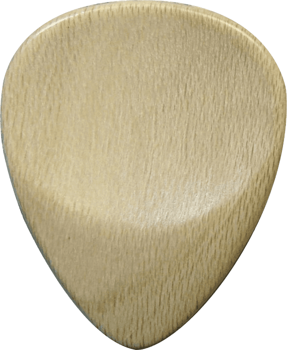 Plettro Agrifoglio