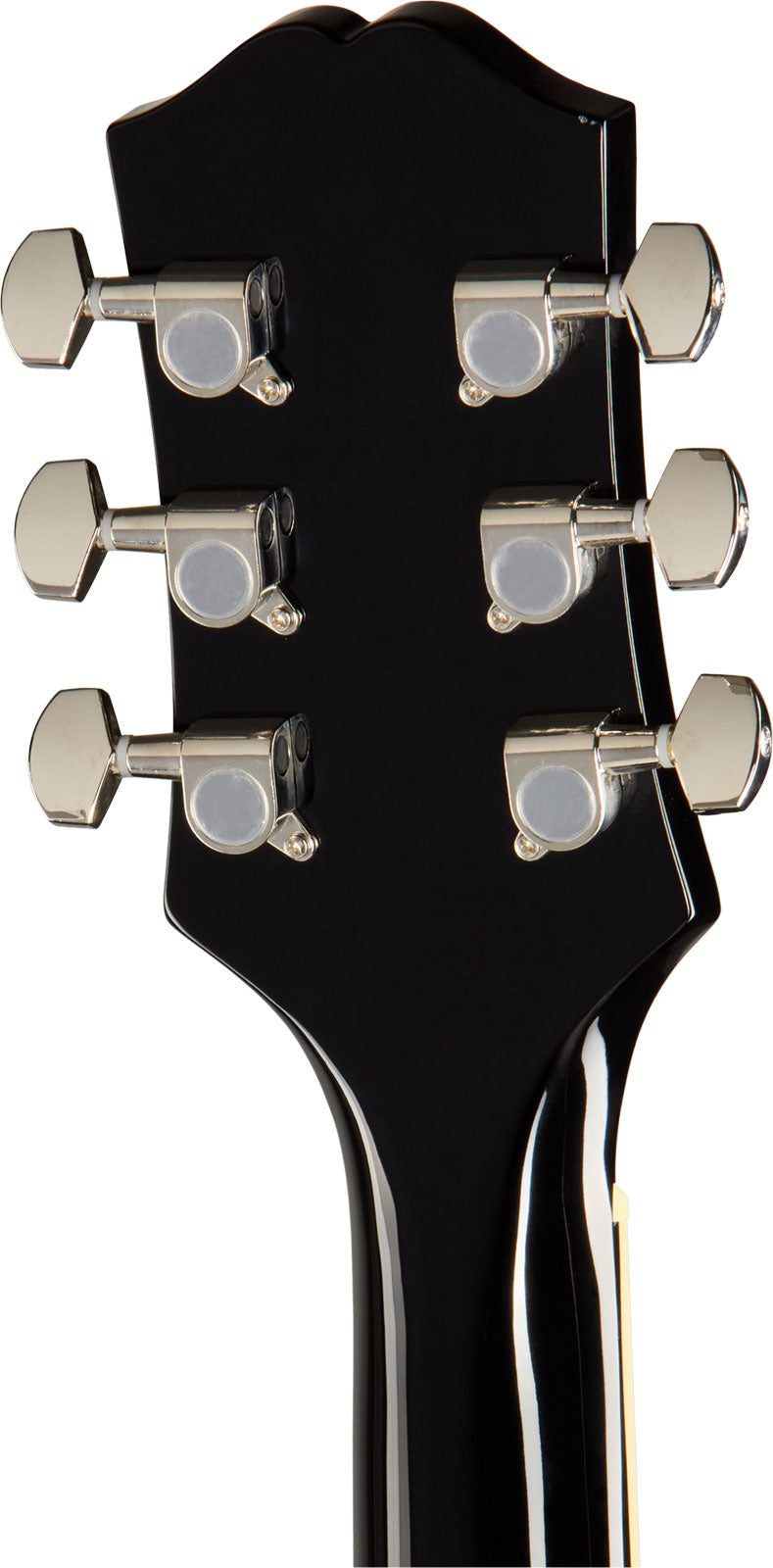 Hummingbird Tribute Ebano IBGM