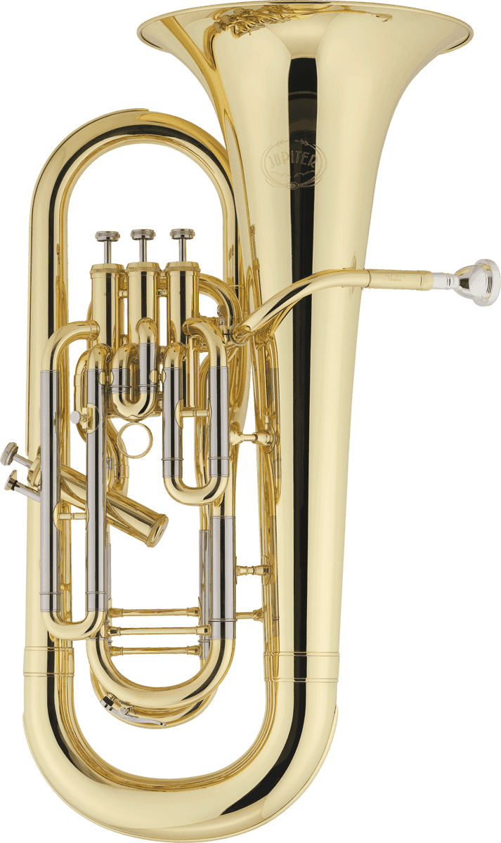 JEP1020