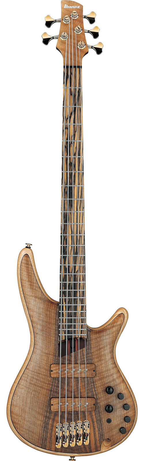 IV1SR Ibanez VISIONS
