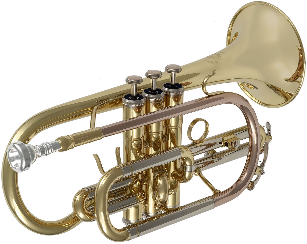 WCR200 - Si B Verniciato