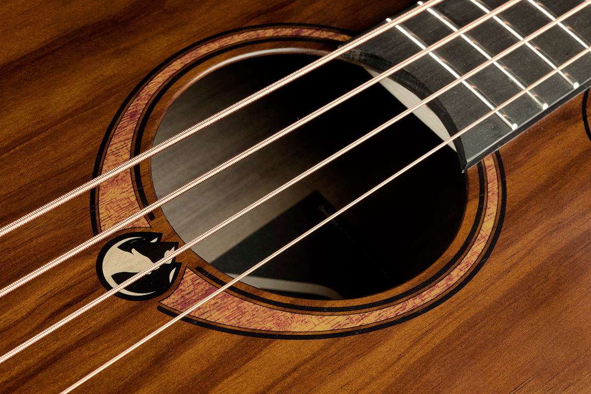 Sauvage Basso Elettroacustico Ctw