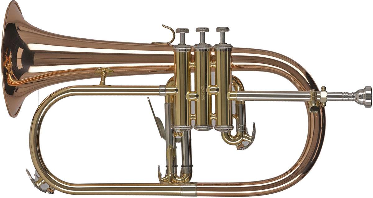 Ambition FH501 Bb Lacquered