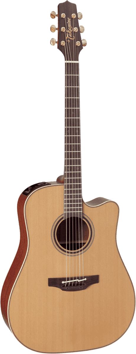 Japan Ec P3Dc Dreadnought Cutaway