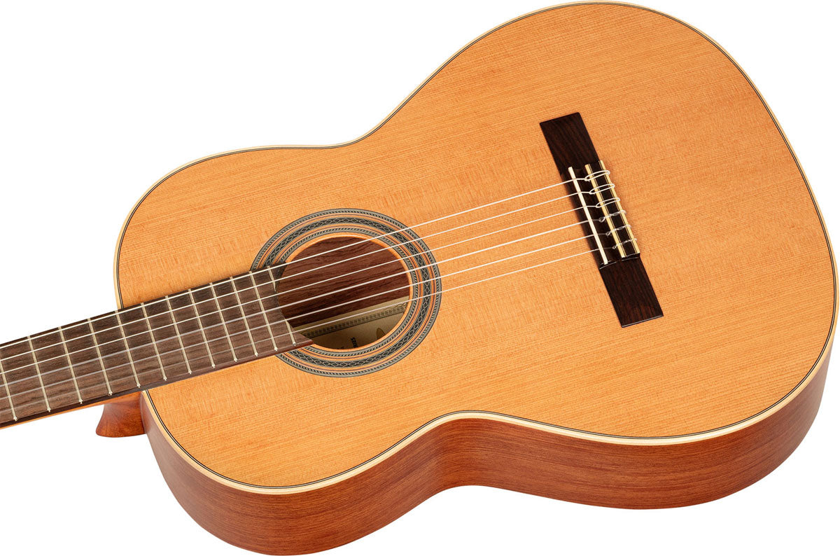 Traditional 4/4 6 LH + custodia morbida Pro